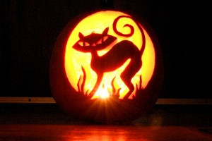 cat-pumpkin-carving_062
