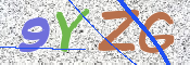 キャプチャ画像