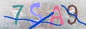 キャプチャ画像