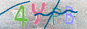 キャプチャ画像