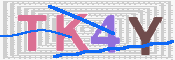 キャプチャ画像