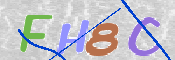 キャプチャ画像
