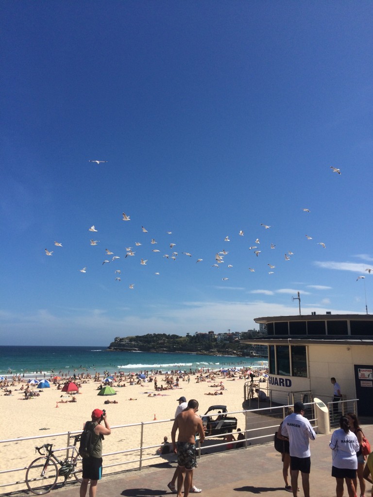 Bondi