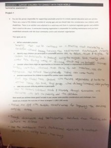 CHCECE012 Summative  2