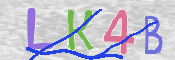 キャプチャ画像