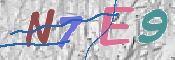 キャプチャ画像