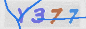キャプチャ画像