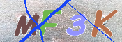 キャプチャ画像