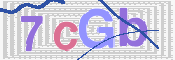 キャプチャ画像