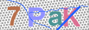 キャプチャ画像