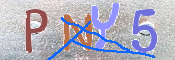 キャプチャ画像