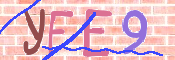 キャプチャ画像