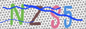 キャプチャ画像