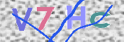 キャプチャ画像