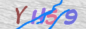 キャプチャ画像