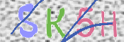 キャプチャ画像