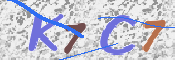 キャプチャ画像