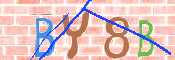 キャプチャ画像