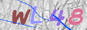 キャプチャ画像