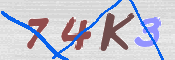 キャプチャ画像