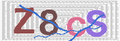 キャプチャ画像