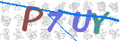 キャプチャ画像