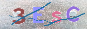 キャプチャ画像