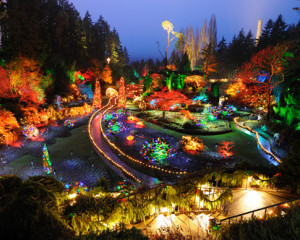 butchart-gardens-christmas