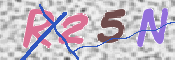キャプチャ画像
