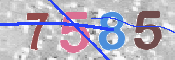 キャプチャ画像