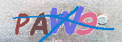 キャプチャ画像