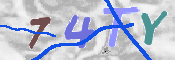 キャプチャ画像