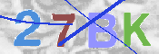 キャプチャ画像