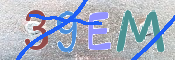 キャプチャ画像