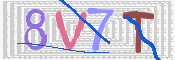 キャプチャ画像
