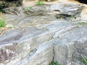 IMG_2207