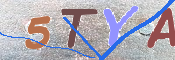 キャプチャ画像