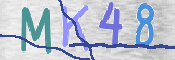 キャプチャ画像