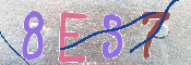 キャプチャ画像