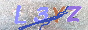 キャプチャ画像