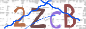キャプチャ画像