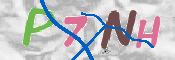 キャプチャ画像
