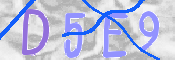 キャプチャ画像