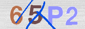 キャプチャ画像