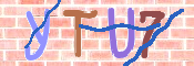キャプチャ画像