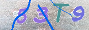 キャプチャ画像