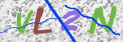 キャプチャ画像