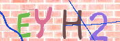 キャプチャ画像