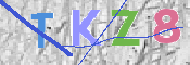 キャプチャ画像