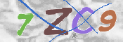 キャプチャ画像